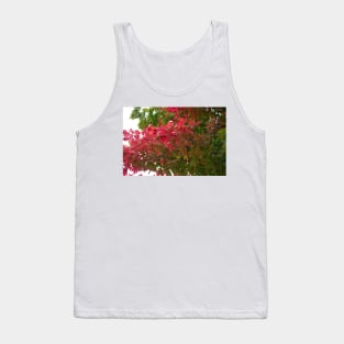 Red green autumn maple leaves Tank Top